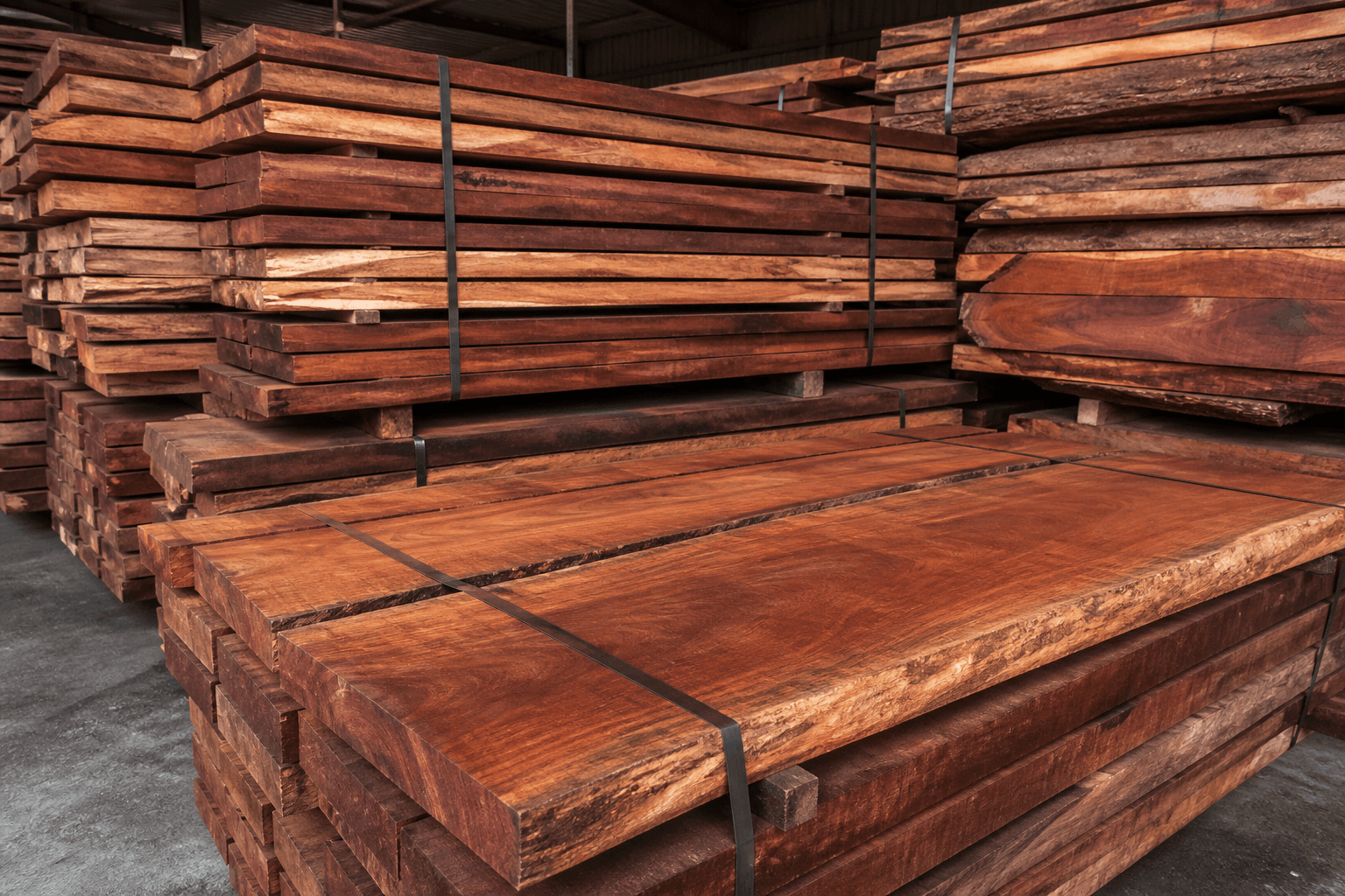 Timber, view 3